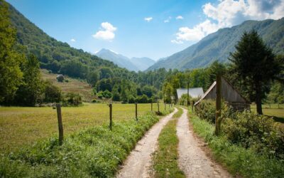 Séjour dans les Pyrénées pour les classes de 5e